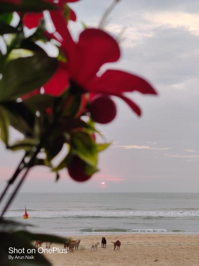 Happy Shack Beach And Wooden Huts コルバ エクステリア 写真