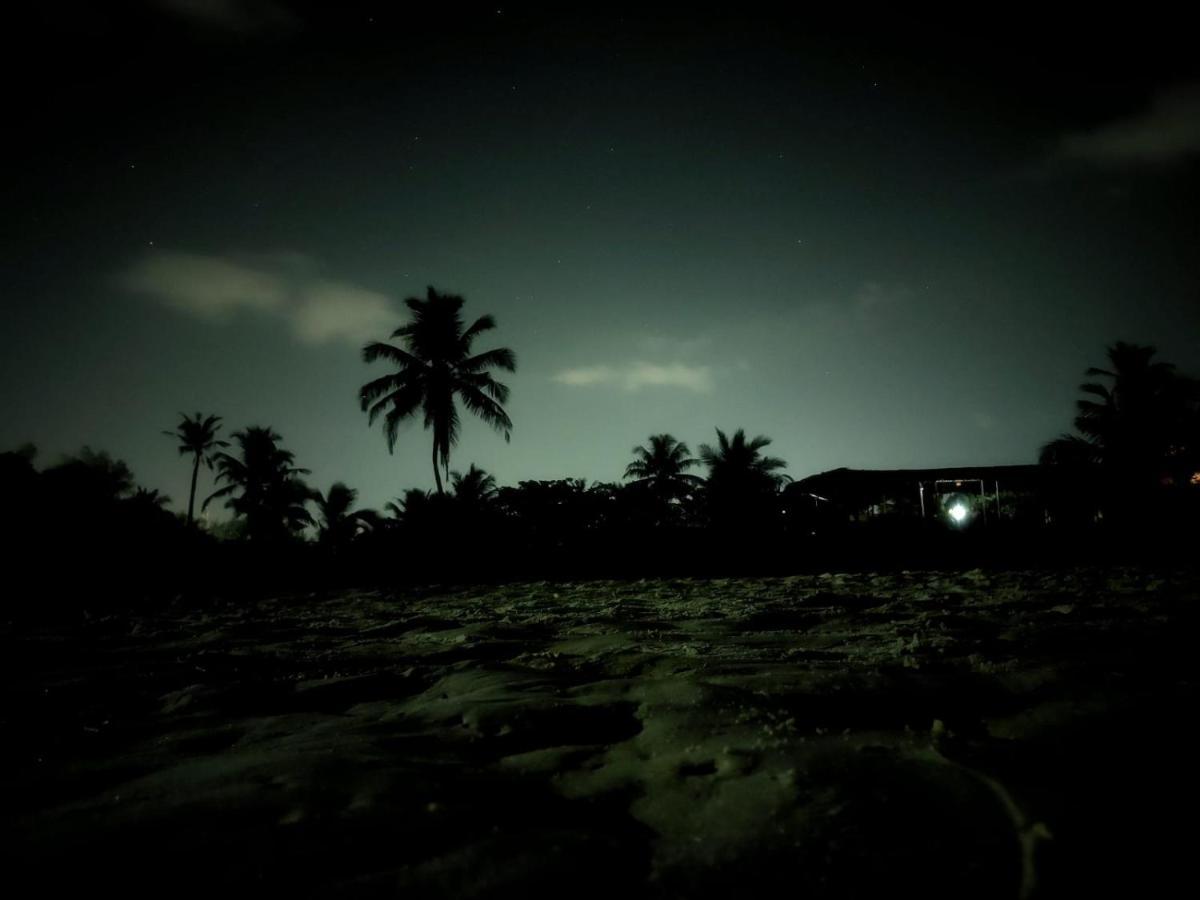 Happy Shack Beach And Wooden Huts コルバ エクステリア 写真